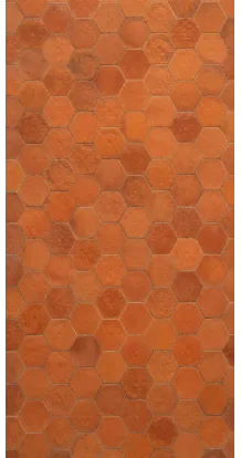 Photo backdrop floor Terracotta floor tiles