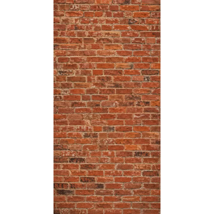 Photo backdrop wall Vintage red brick