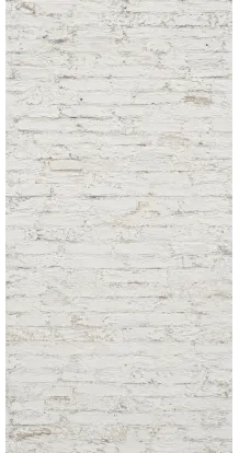 Photo backdrop wall Whitewashed brick