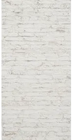 Photo backdrop wall Whitewashed brick