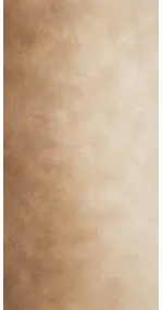 Photo backdrop wall Mocha & cream ombré