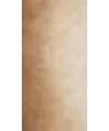 Photo backdrop wall Mocha & cream ombré