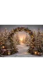 Weihnachtlicher Foto-Studiohintergrund Der Wald der tausend Lichter — Wald beleuchteter Tannen und ein Lichterbogen