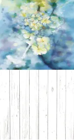 25