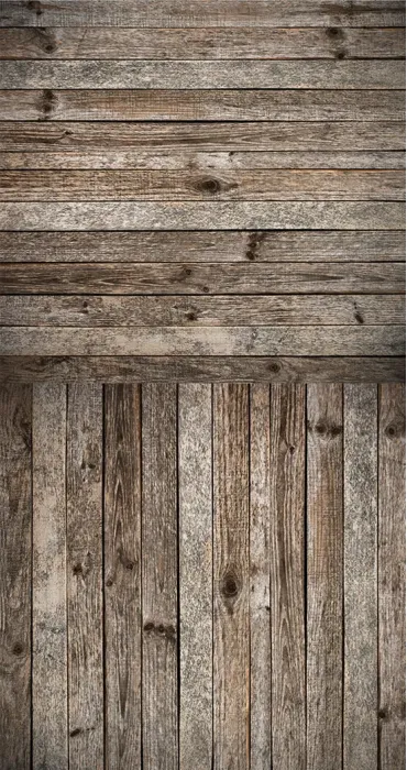 Bois 11