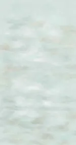 Vip 6
