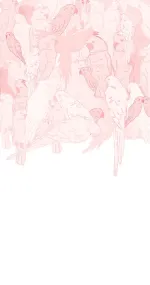 Vip 15