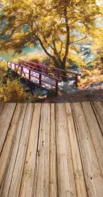 Bridge