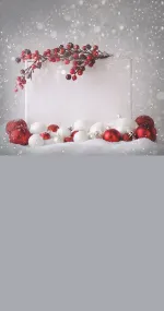 ESPRIT DE NOËL 6