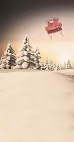 ESPRIT DE NOËL 14