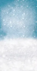 ESPRIT DE NOËL 15