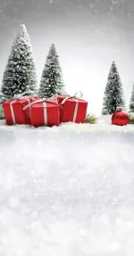 ESPRIT DE NOËL 17