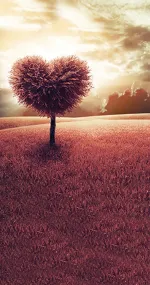L'Amour 21