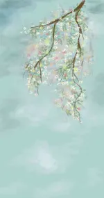 Planes