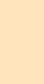 Egg Shell