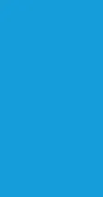 Blue jay