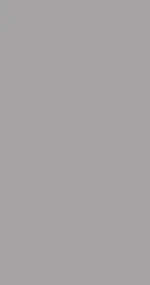 Gray sky