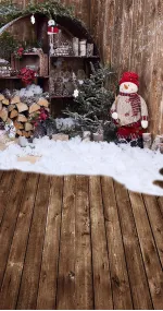 Snow fell