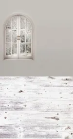 Winter window