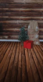 Christmas bag
