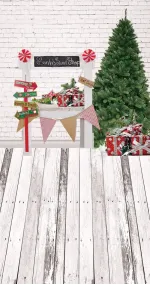 Santa's shop