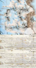 Flowering cotton
