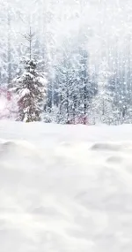 Natural winter