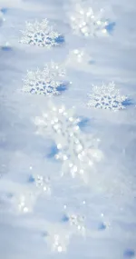 White snowflakes