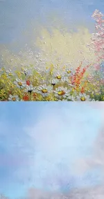 Camomile field