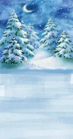 Fairytale winter