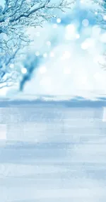 Frosted branch
