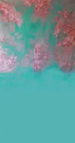 Lazur flowers