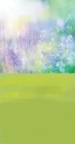 Painted field