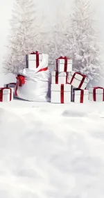 Santa's bag