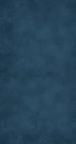 Navy just blue