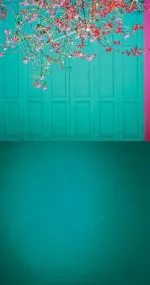Turqoise door