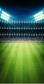 Sports field