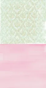 Rose VS Mint