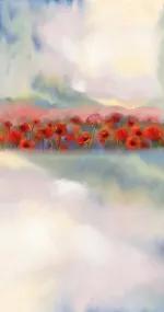 Poppy field