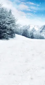 Nature is here