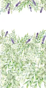 Lavender plant