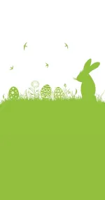 Green bunny