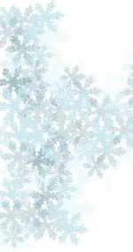 Ice snowflakes