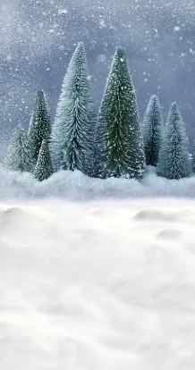 DB Christmas trees