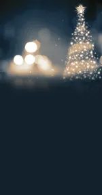 Shining Christmas