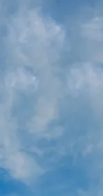 Flying in the sky
