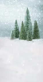 Christmas is coming
