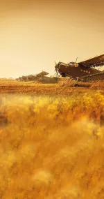 Plane landing