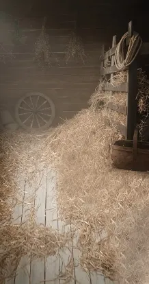 Happy in hay