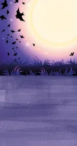 Bat at night